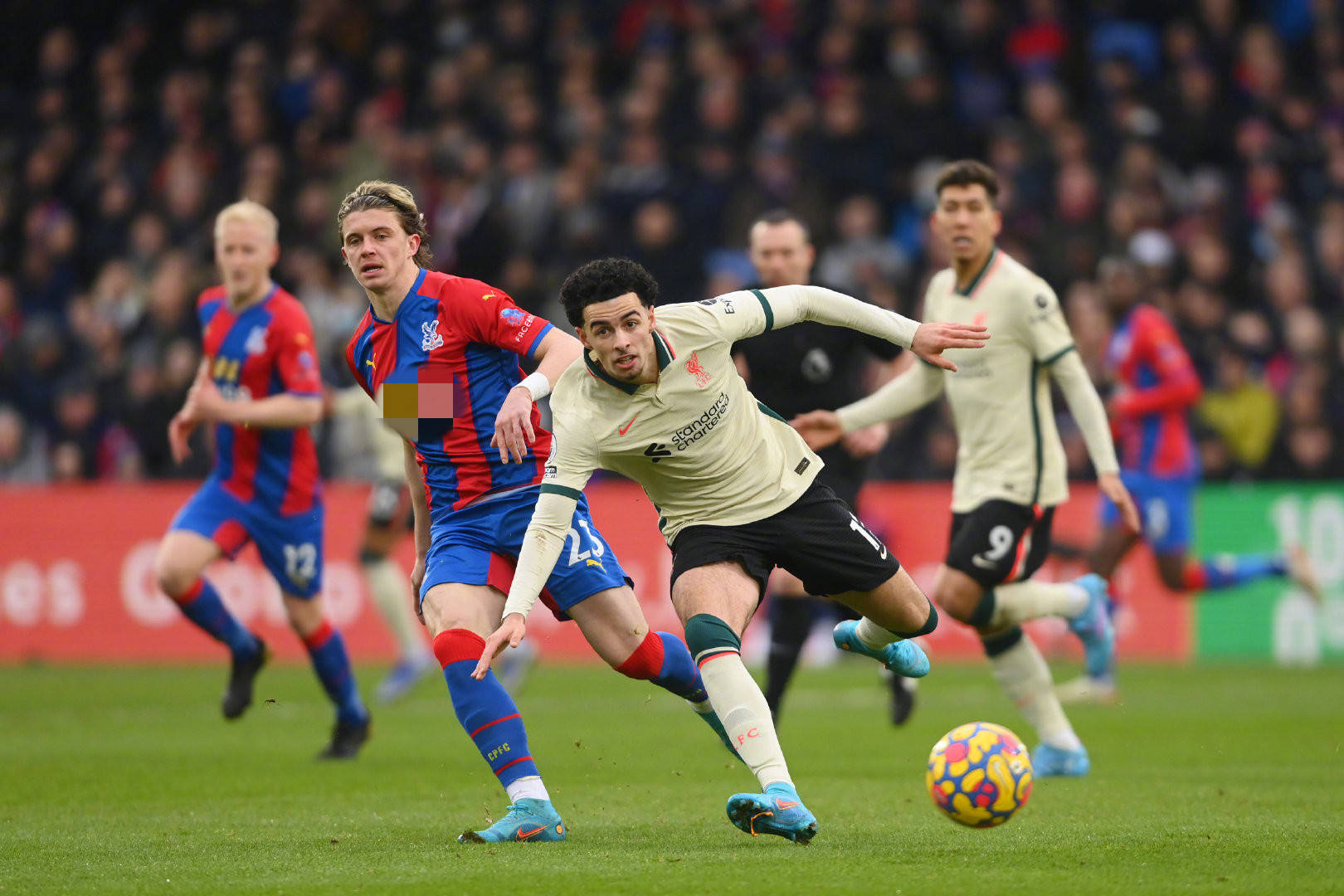 潜在替代者 潜在替代者